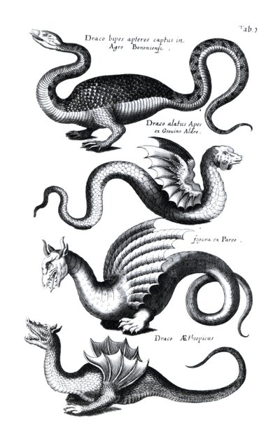 Four types of dragon by English School